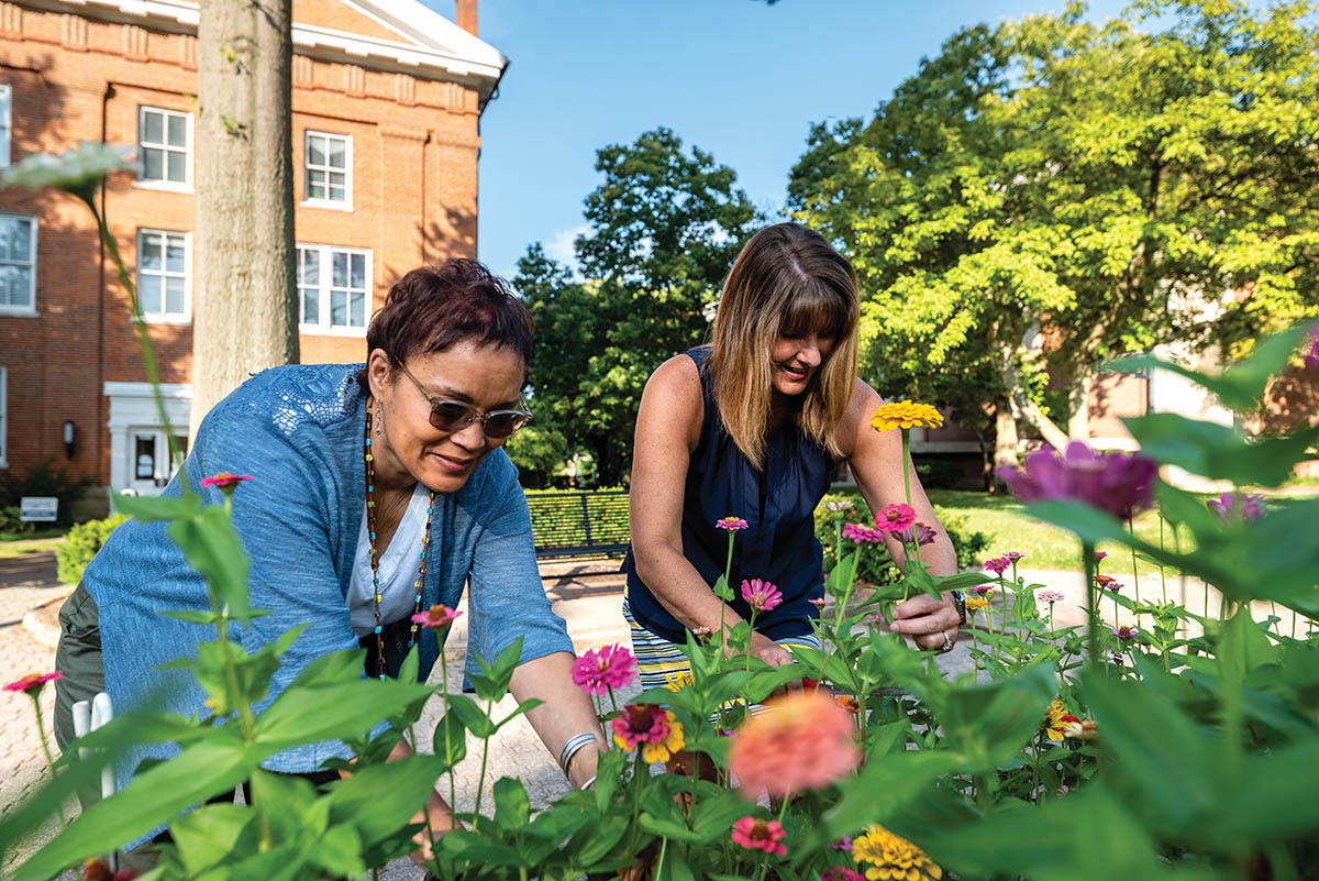 Angie Stevens (left) and Paula Lewis cut flowers for their offices in Irvine Hall
