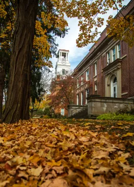 Autumn leaves on the ground at Marietta College