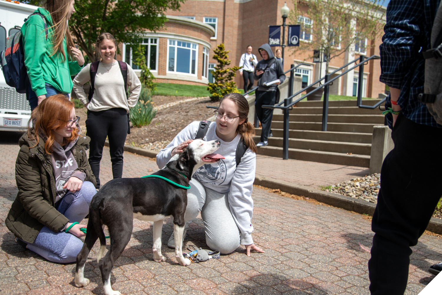 A Marietta College student pets a dog during the ARCs destress with dogs event