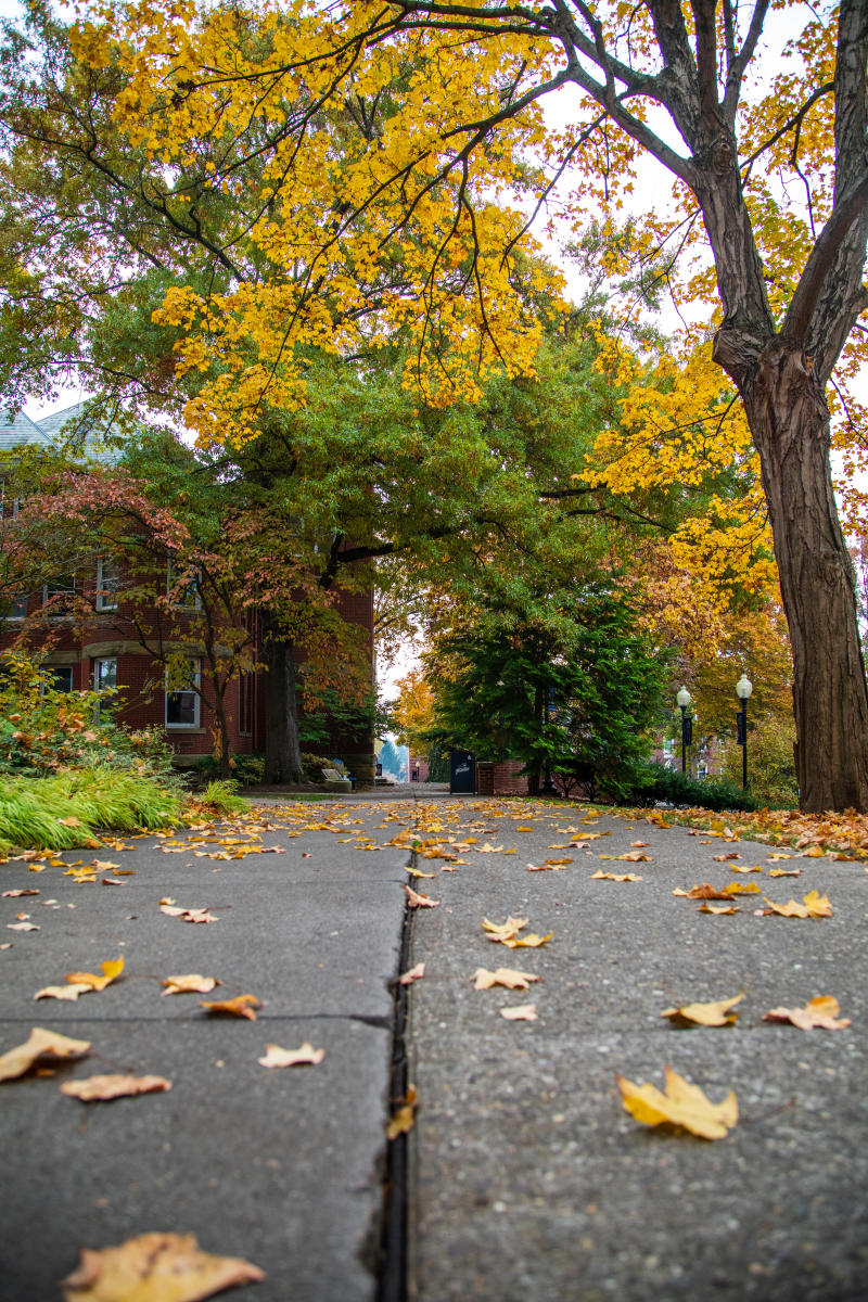 Marietta College in the Fall