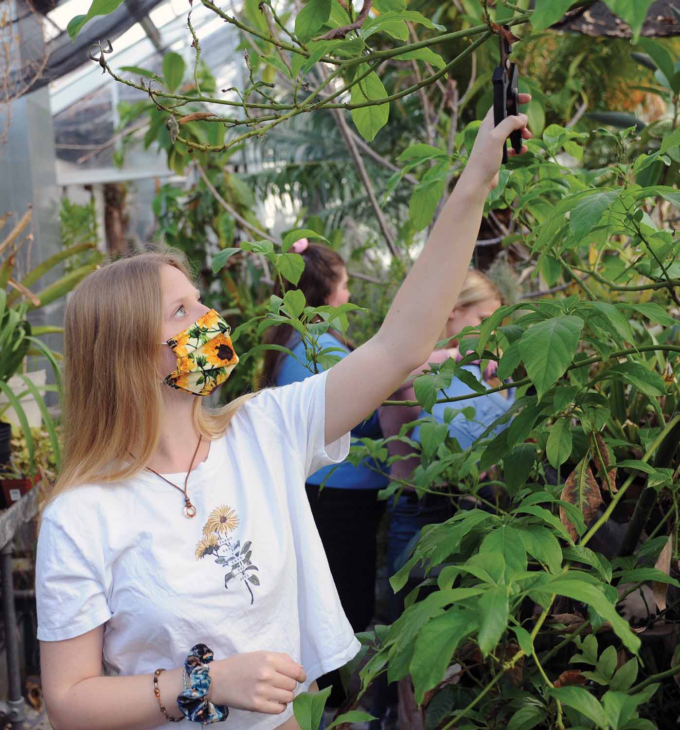 Sara Majorsky '23 prunes a plant