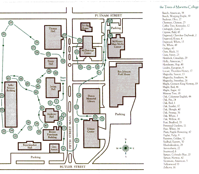 Marietta College tree tour map