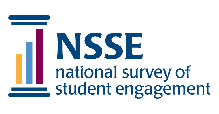 nsse logo