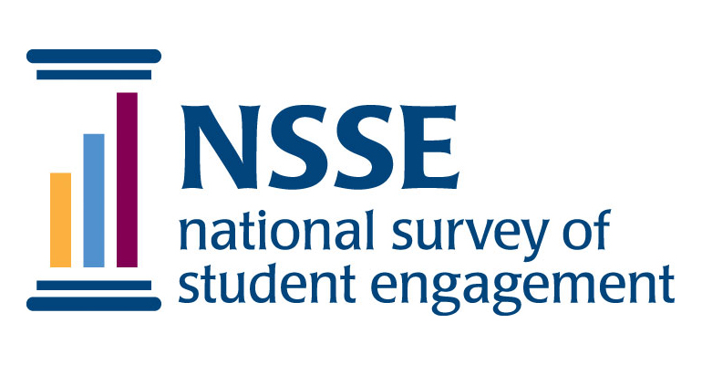 nsse logo