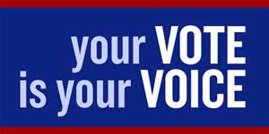 Your Vote is your Voice logo