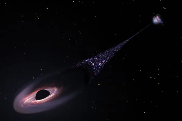 Black holes