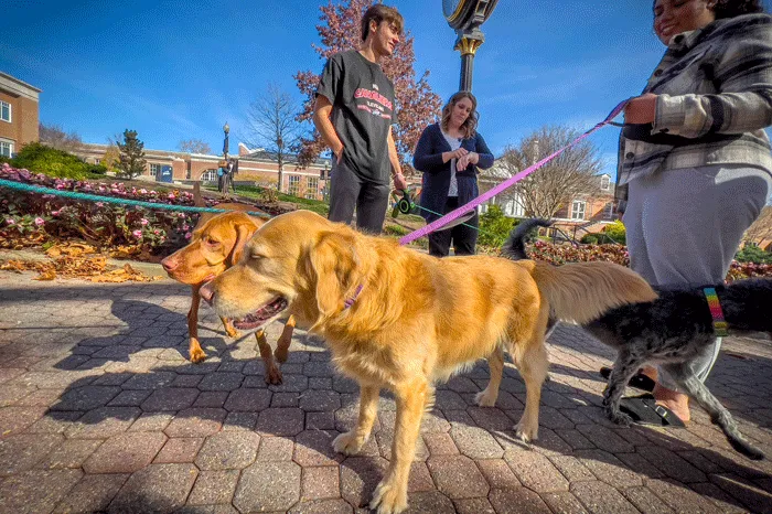 Students with dogs