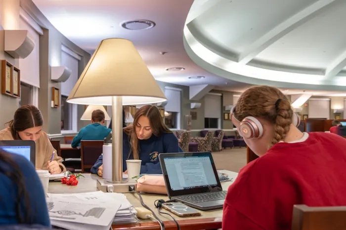 Students studying in library
