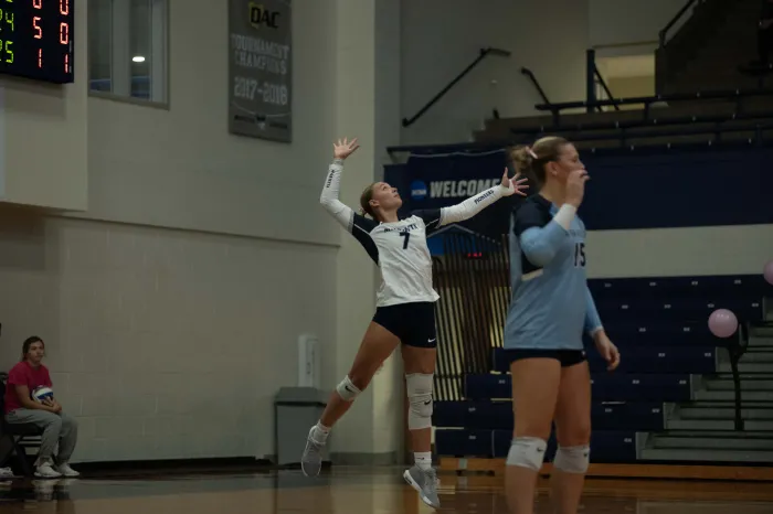 volleyball