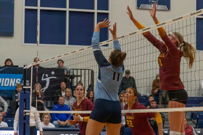 volleyball