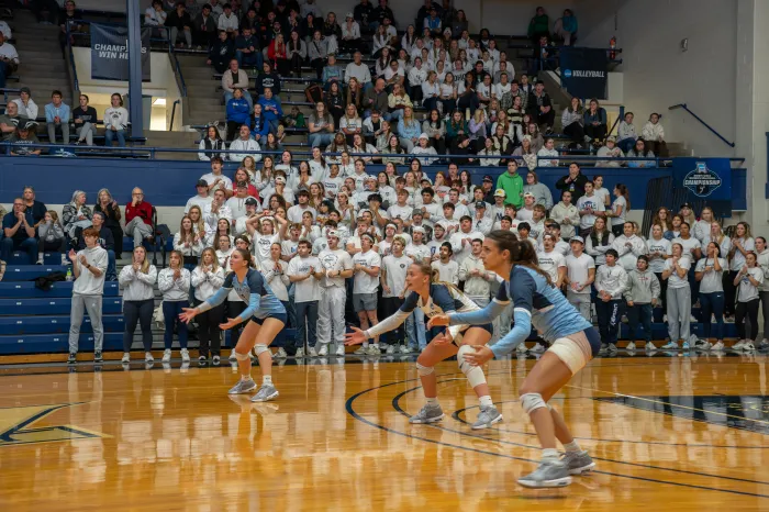 volleyball