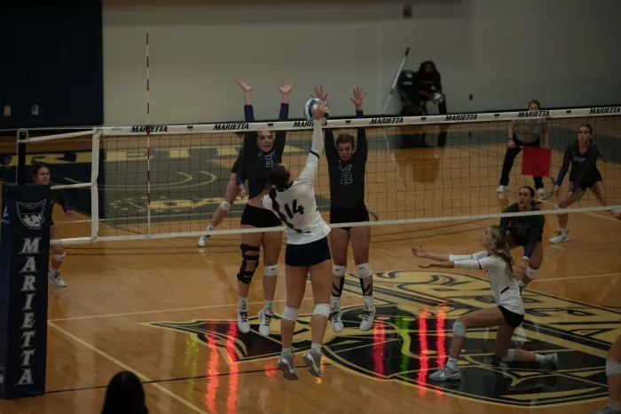 Volleyball