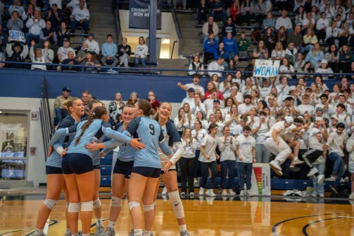 Volleyball