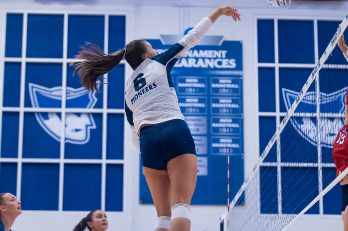 Volleyball