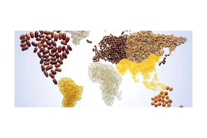 global food