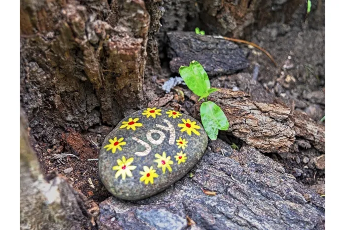 painted rock