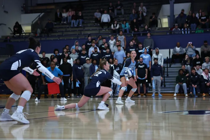 Volleyball