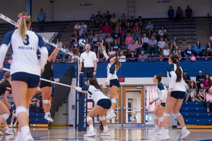 Volleyball