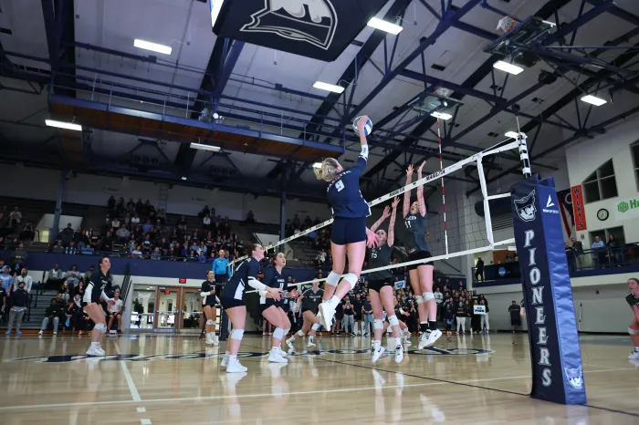 Volleyball