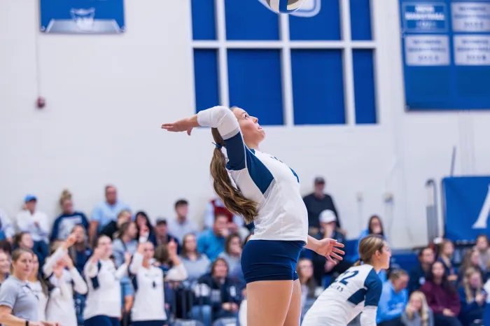 Volleyball