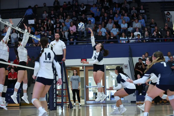 Volleyball