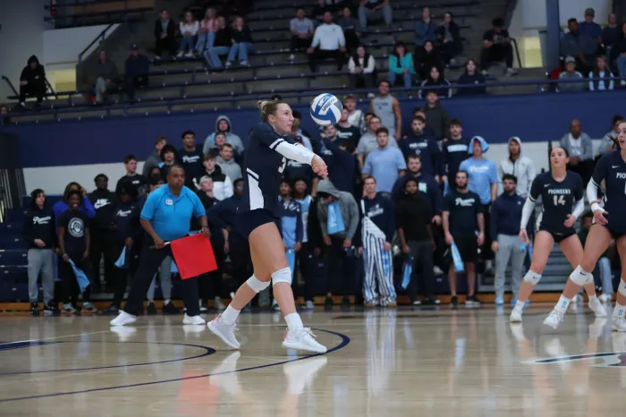 Volleyball