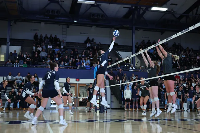 Volleyball