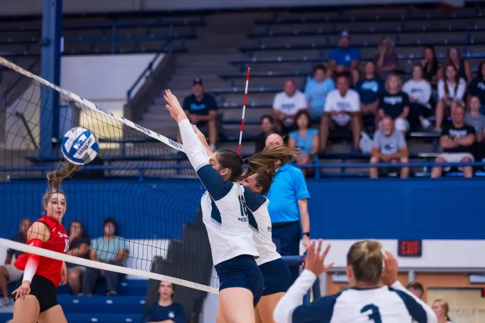 Volleyball