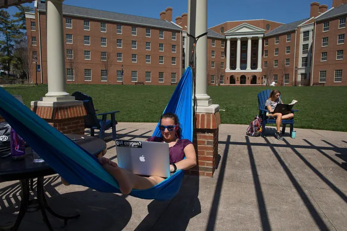 Students studying outside of Harrison Hall