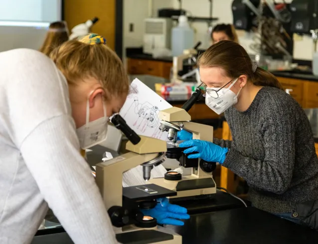 Students on microscopes in a lab