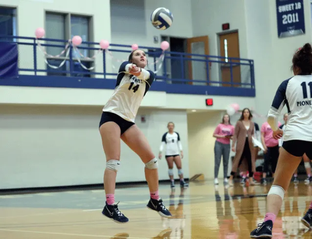Volleyball