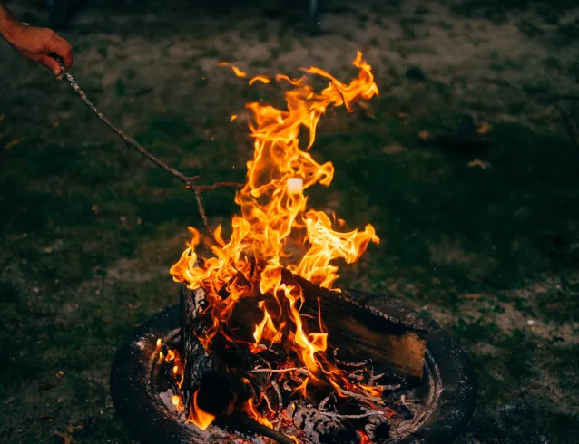 Bonfire