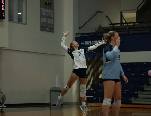 volleyball