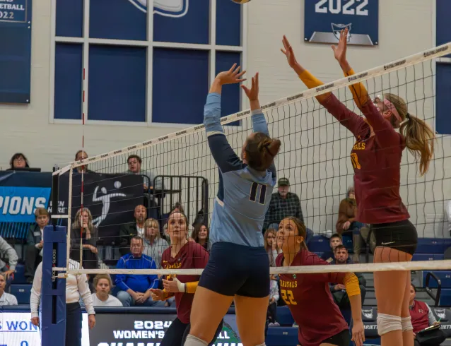volleyball