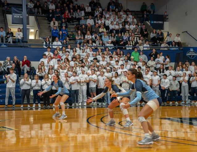 volleyball