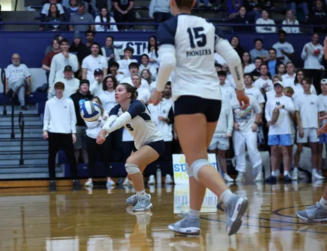 Volleyball