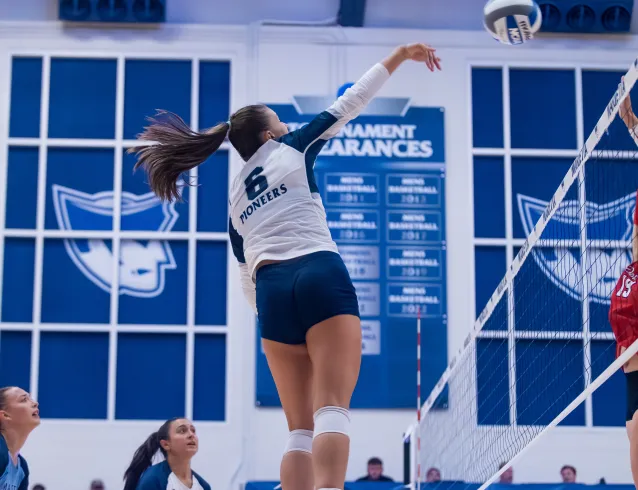 Volleyball