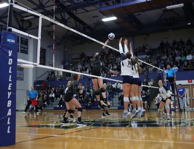 volleyball