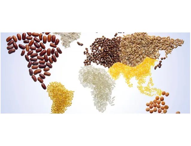 global food