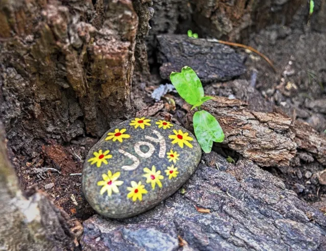 painted rock