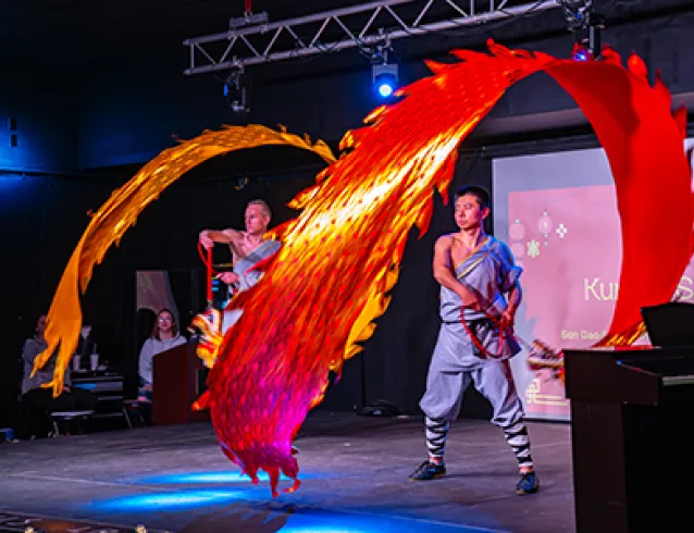 Multicultural festival