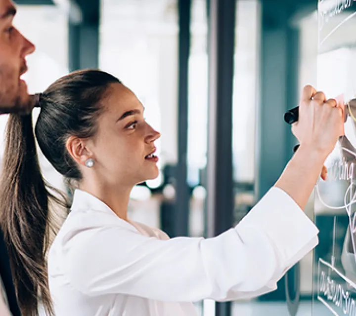 Professional Project Manager