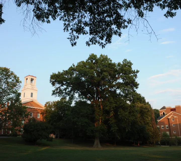 Erwin Tower from 4th Street Field