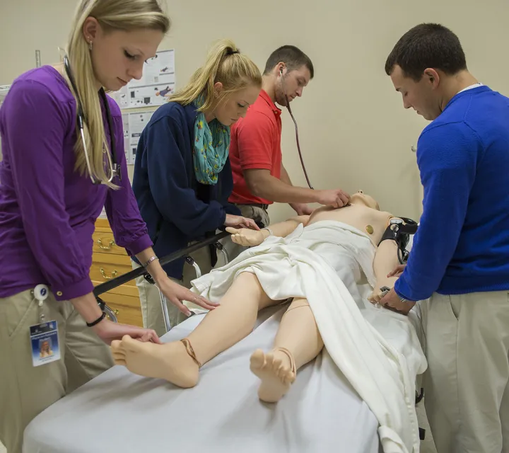 Physician Assistant students work on a dummy