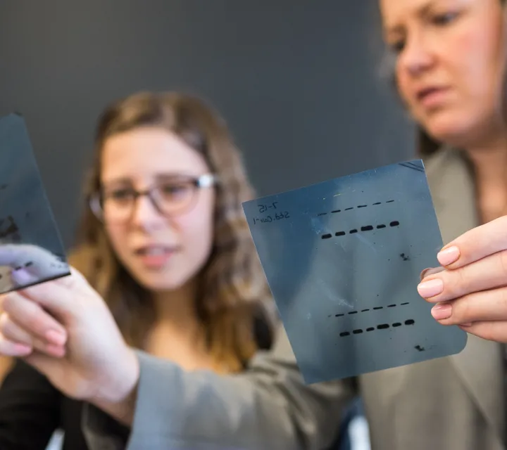 Detail of DNA readouts