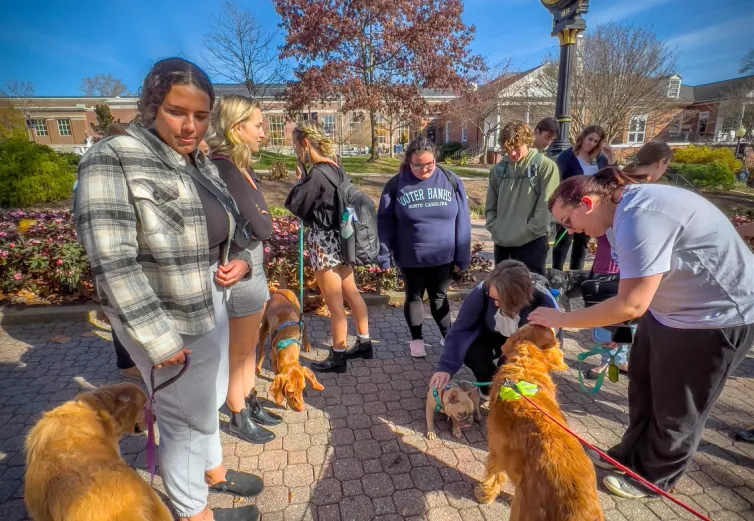Marietta College students play with dogs on the Christy Mall