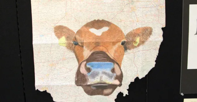 Cow drawn on a map of Ohio