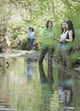 Students stand in a stream while collecting samples