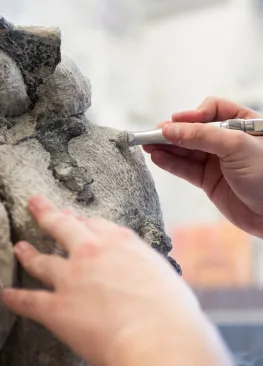 A Marietta College geology major uses a rock chisle during a geology lab