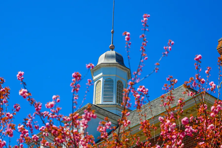 McDonough Center Tower with spring flowers in foreground
